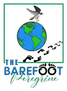 The Barefoot Peregrine Logo