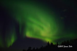 Northern Lights at Astotin Lake in Elk Island Park.