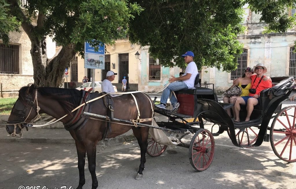 The horse-drawn carriage we toured Old Havana in.