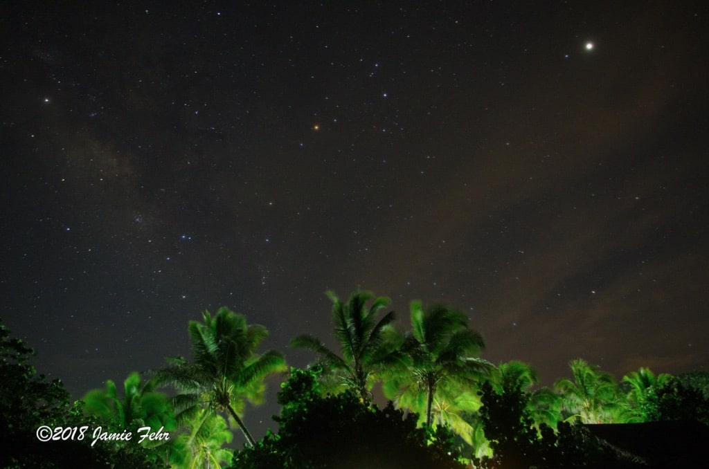 Palm trees lit up and the Milky Way visible in the night sky.