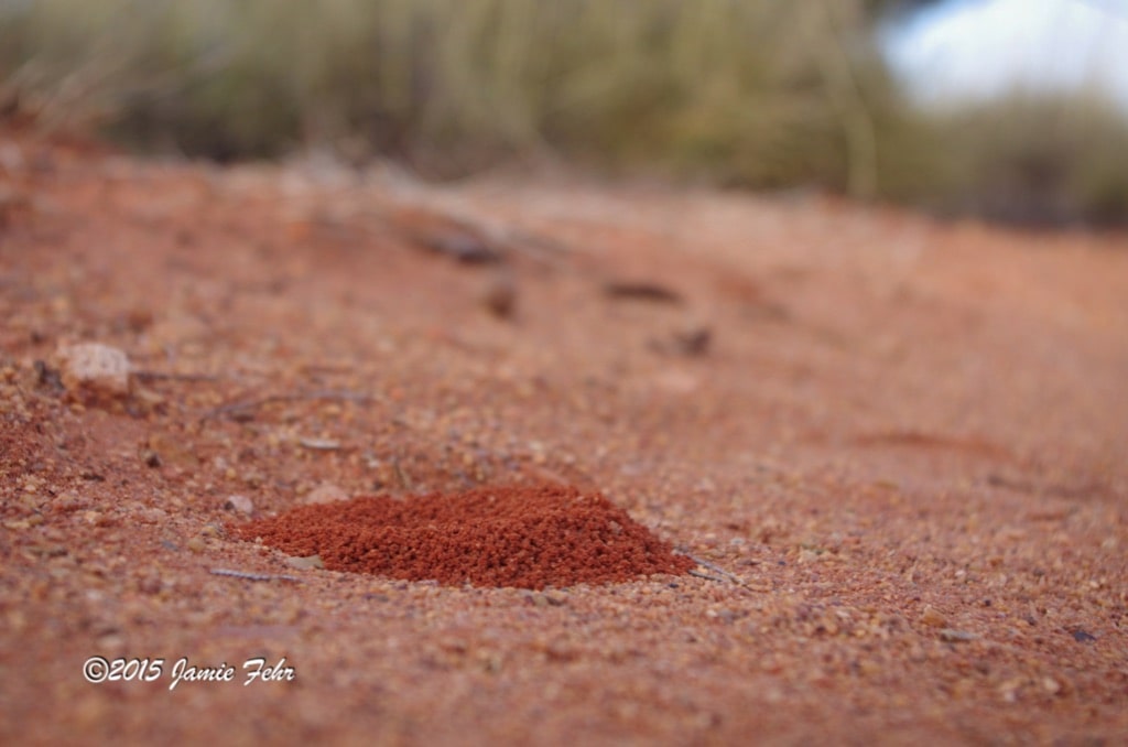 A small anthill built with unbleached red soil.