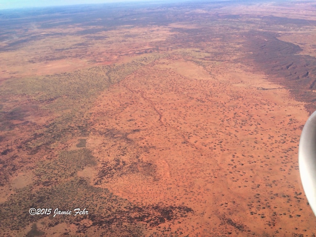 There are a lot more trees in this part of the Outback, but it still looks like Mars.