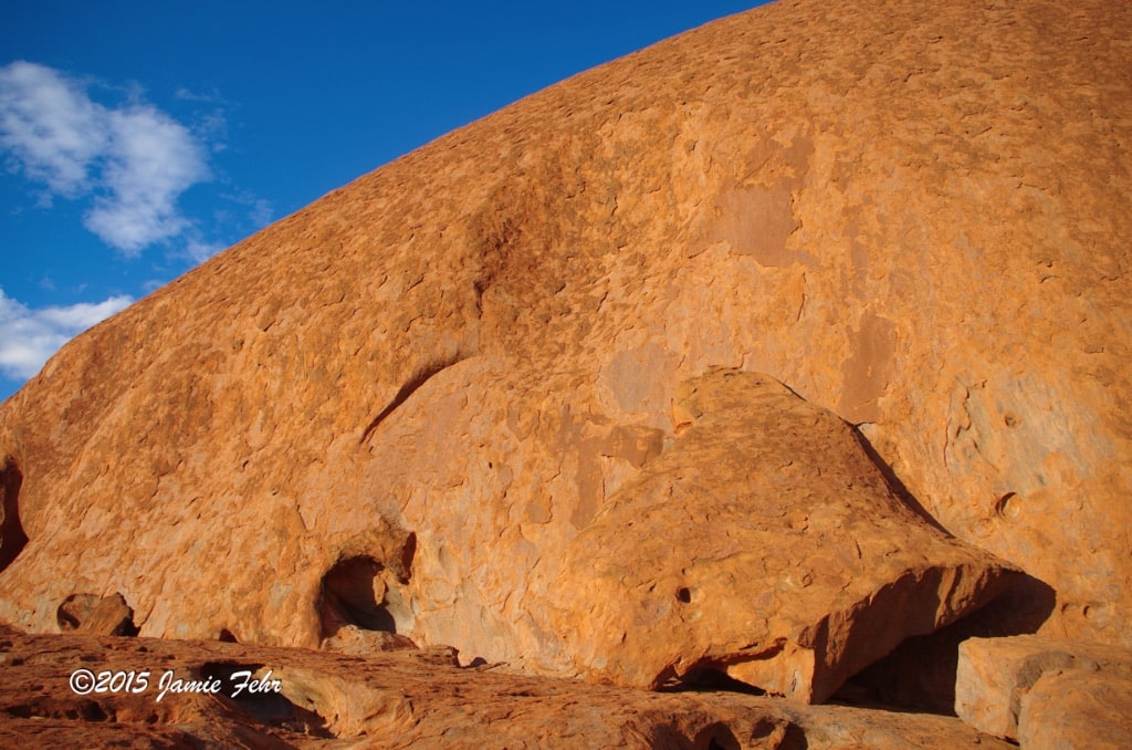 In this close-up shot, you can really see the scales and some deformations in the rock.