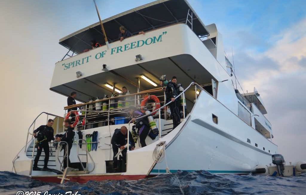 My Amazing Week Diving on the Spirit of Freedom